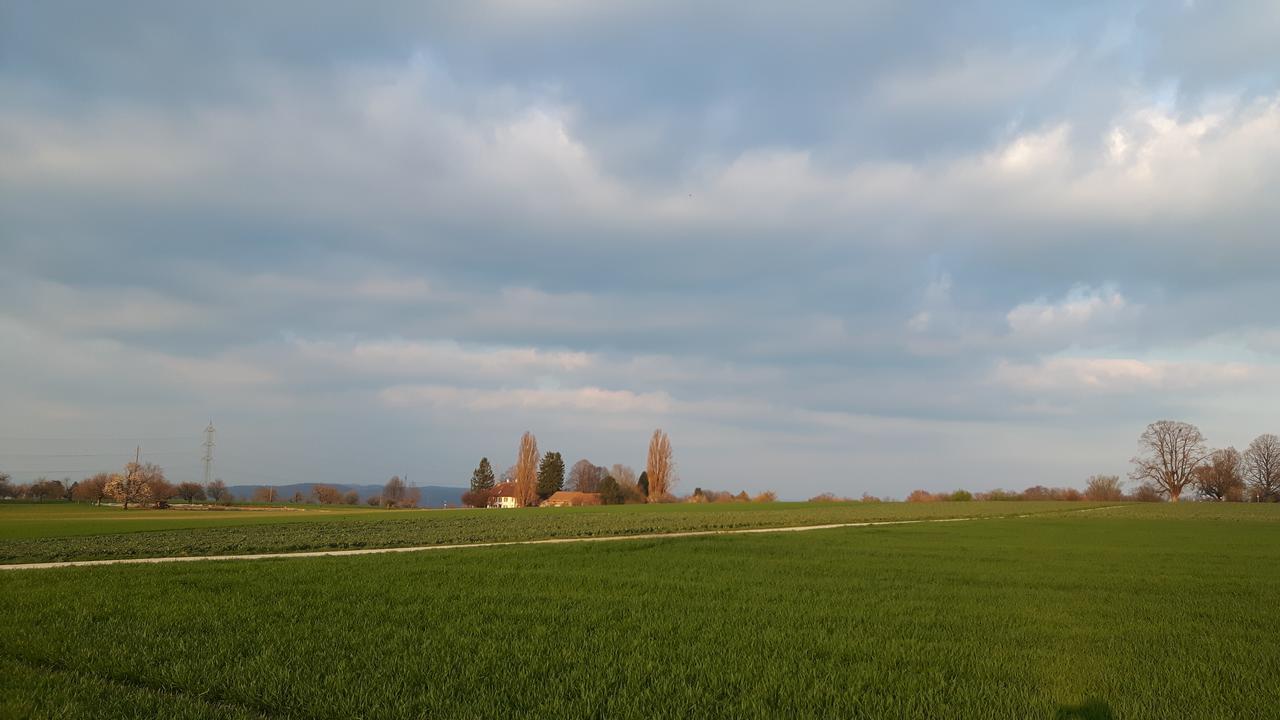 Bed and Breakfast Mybednbreakfast In Bottmingen Esterno foto