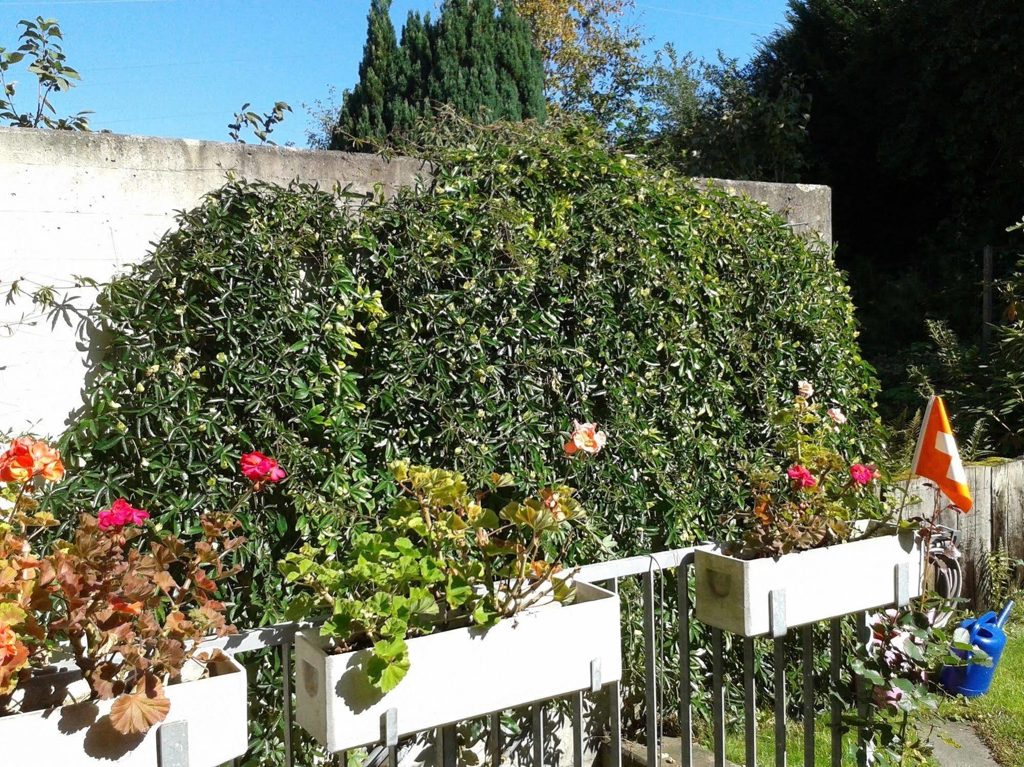 Bed and Breakfast Mybednbreakfast In Bottmingen Esterno foto
