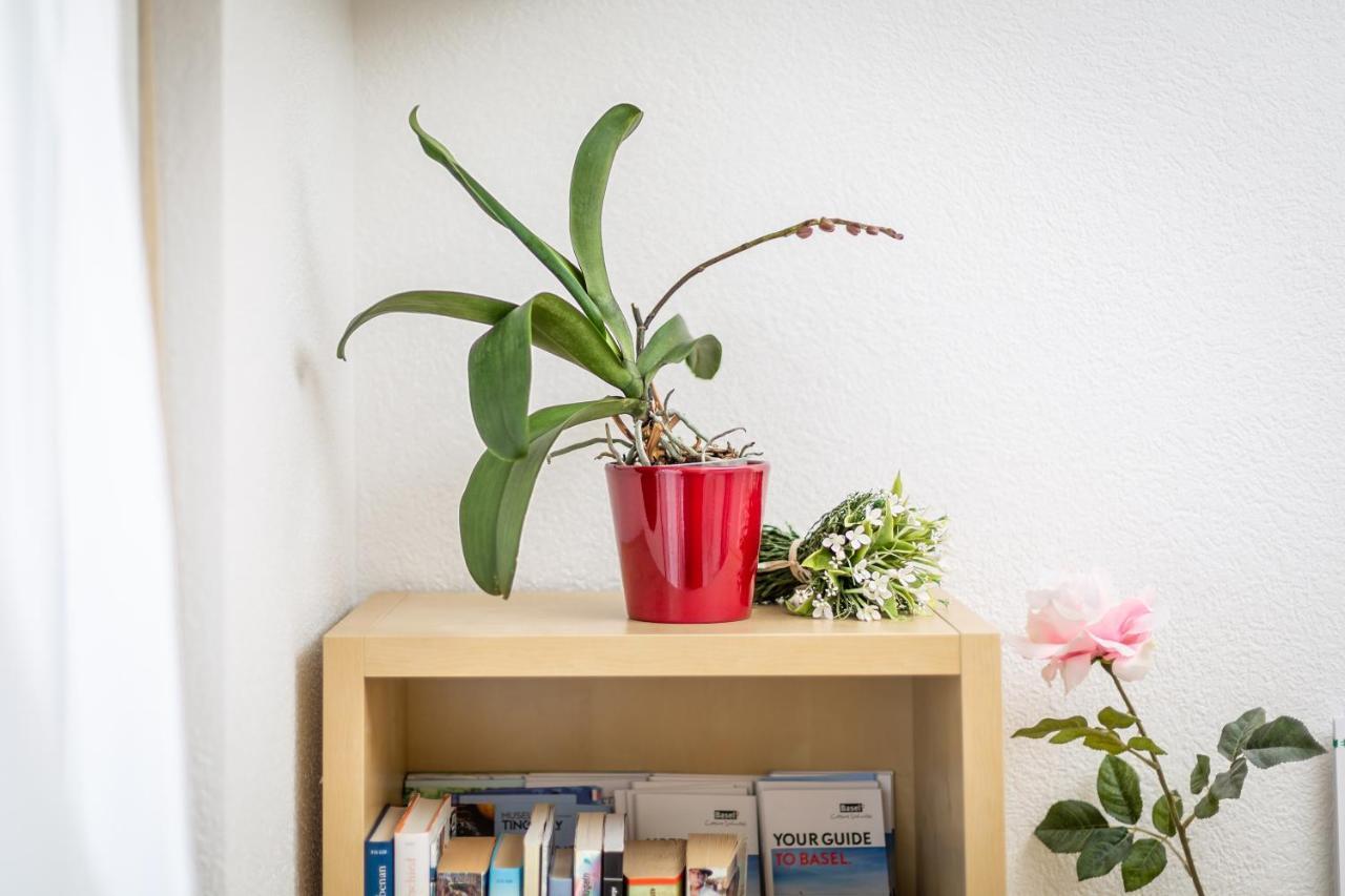 Bed and Breakfast Mybednbreakfast In Bottmingen Esterno foto
