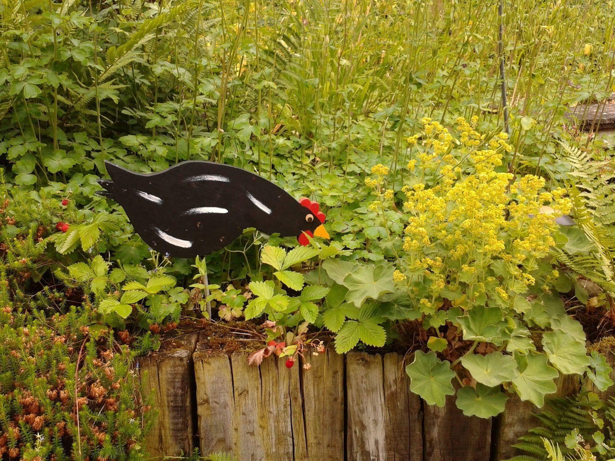 Bed and Breakfast Mybednbreakfast In Bottmingen Esterno foto