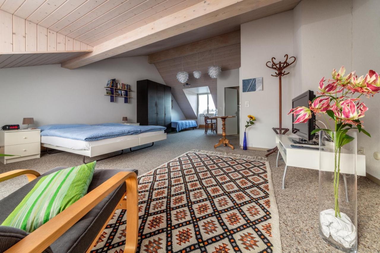 Bed and Breakfast Mybednbreakfast In Bottmingen Esterno foto