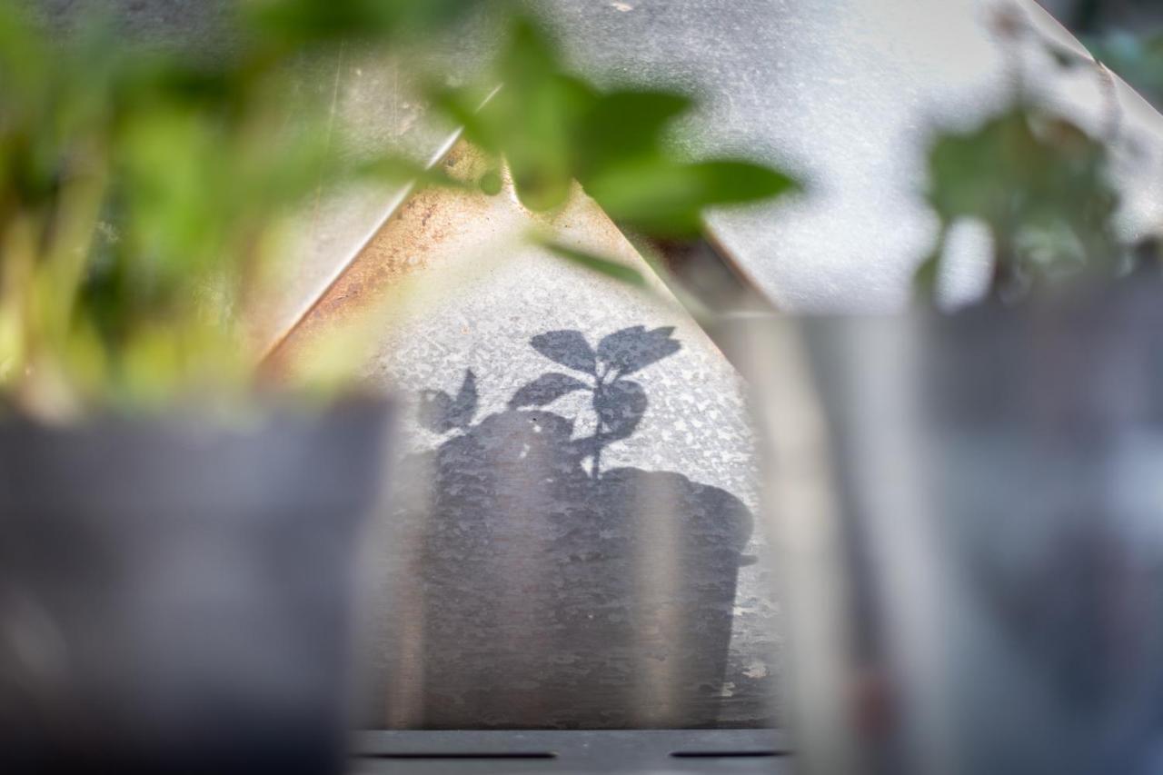 Bed and Breakfast Mybednbreakfast In Bottmingen Esterno foto
