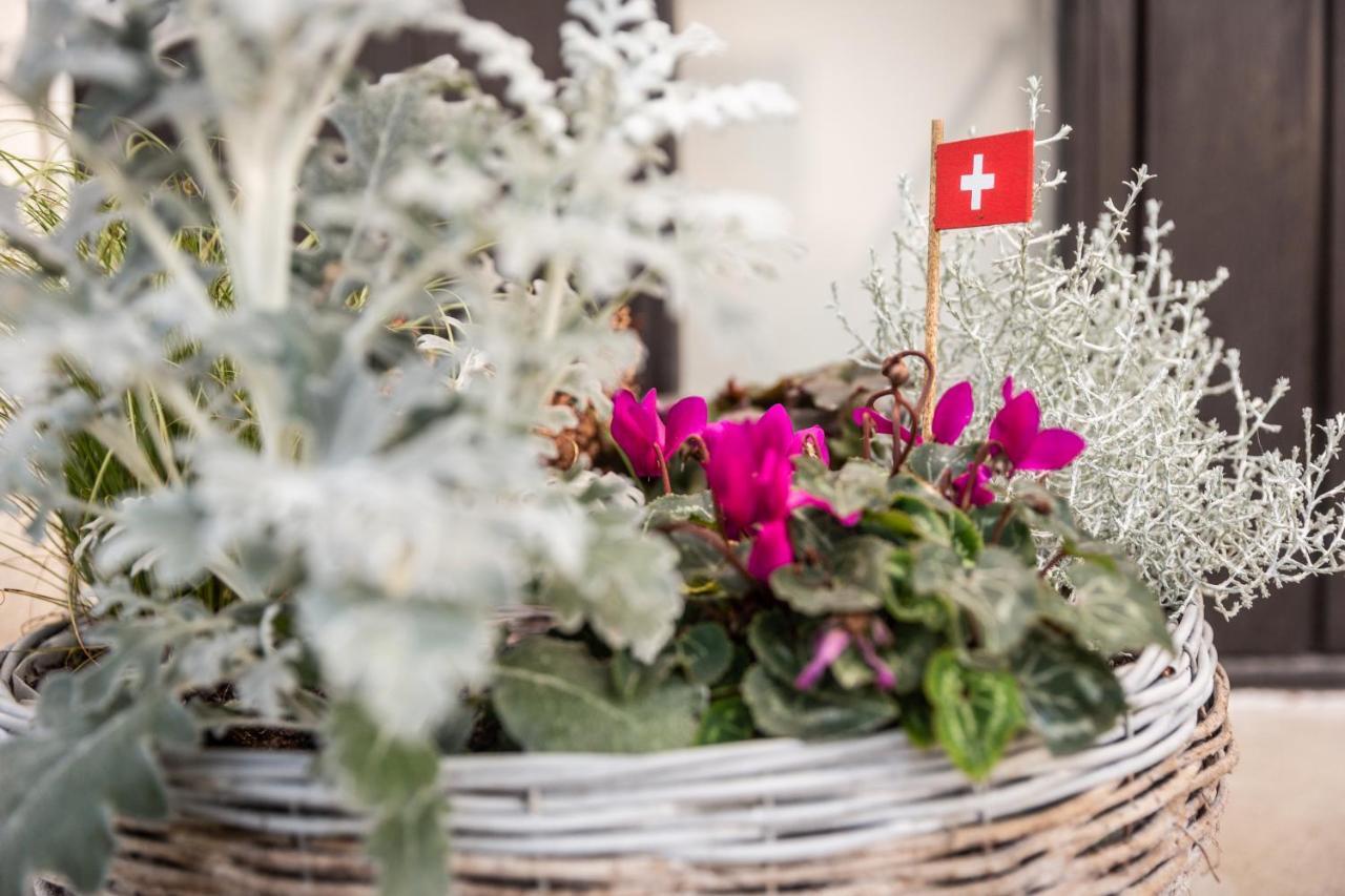 Bed and Breakfast Mybednbreakfast In Bottmingen Esterno foto
